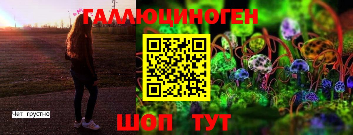 Королёв  Псилоцибиновые грибы Magic Shrooms  Вход с VPN  где можно купить   Псилоцибиновые грибы мухоморы 